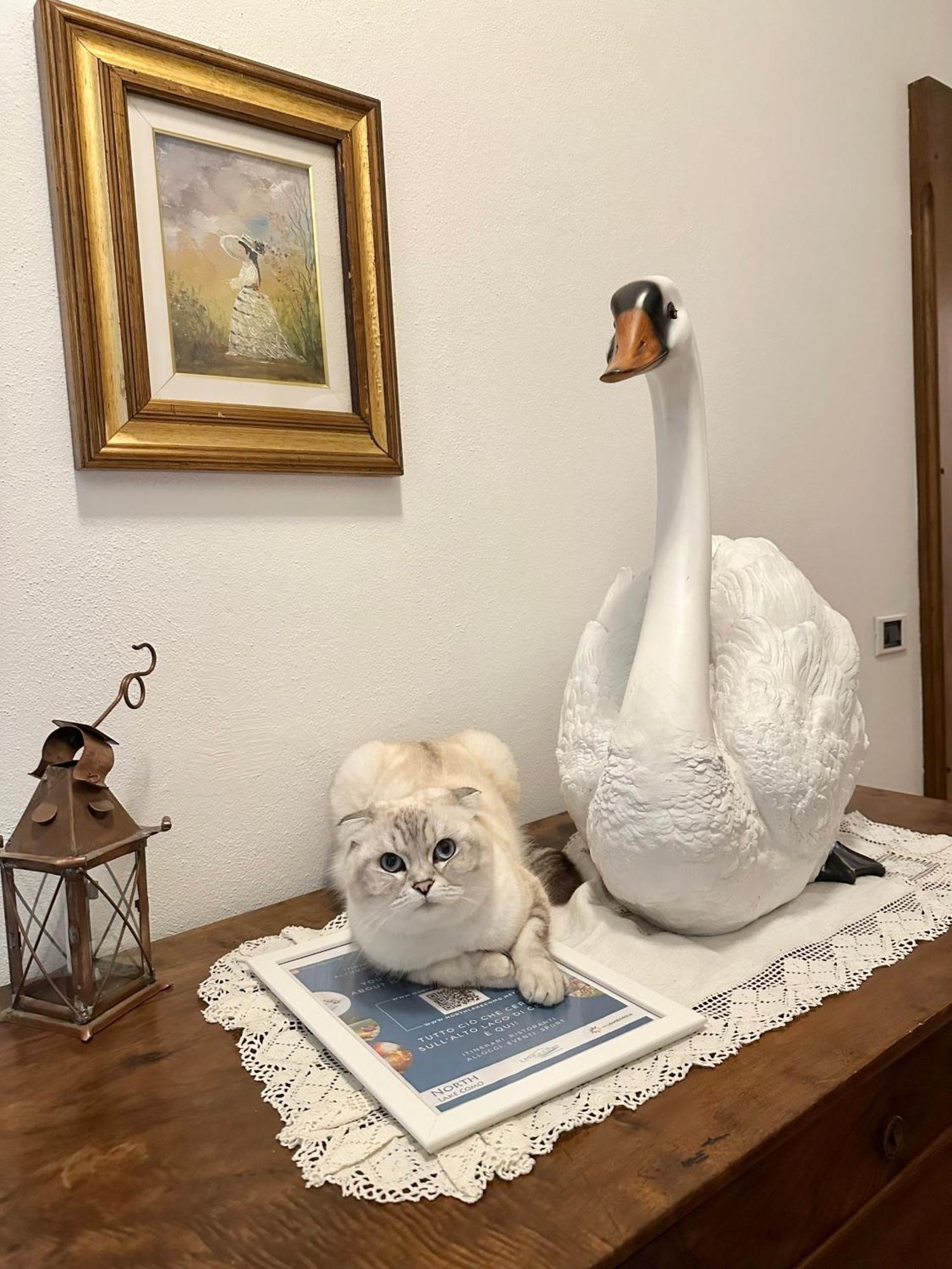 Cremia B&B La Dolce Casa Lago Di Como מראה חיצוני תמונה