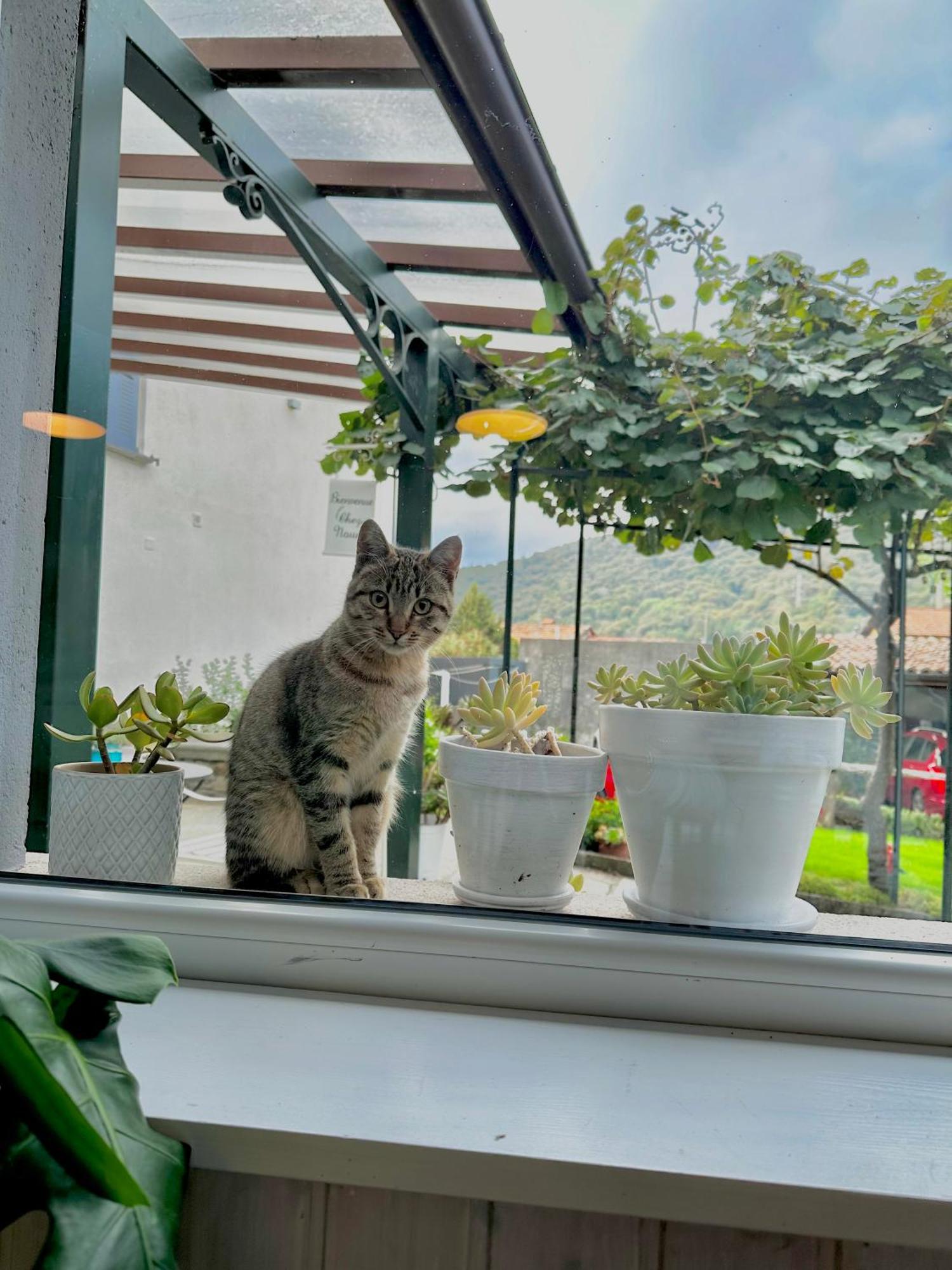 Cremia B&B La Dolce Casa Lago Di Como מראה חיצוני תמונה